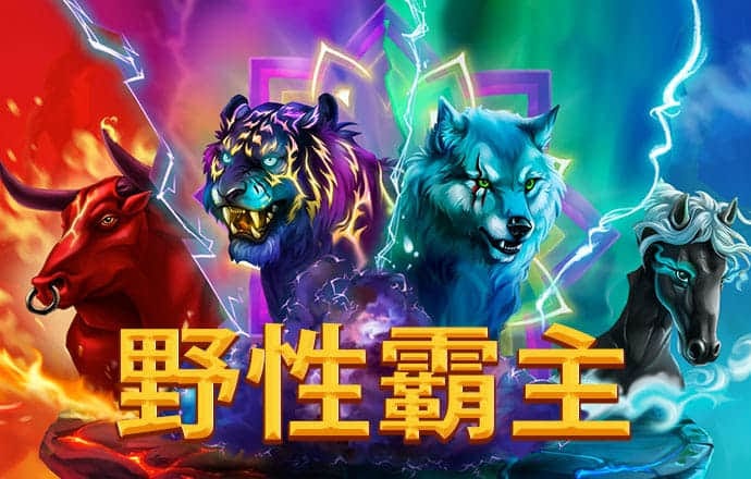 ayx手机版登录入